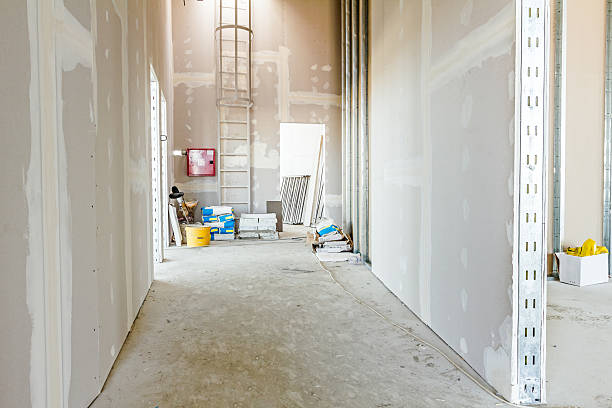  Castle Pines Village, CO Drywall & Painting Services Pros